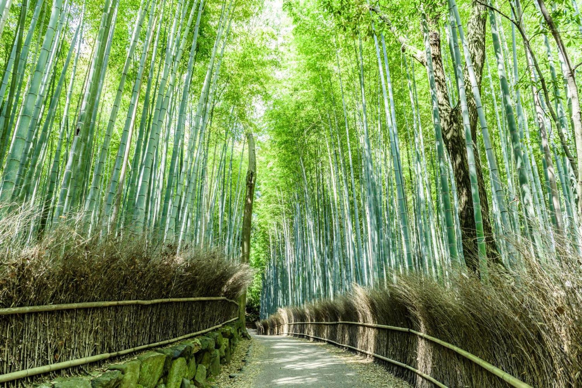Mimaru Kyoto Nishinotoin Takatsuji Hotel Exterior foto